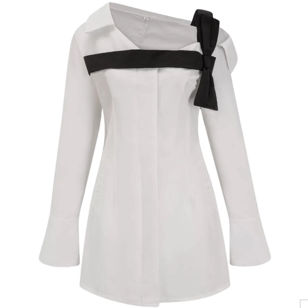 Shirt Dress